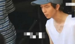 娱乐圈吃瓜爆料程潇,娱乐圈风云变幻中的璀璨星辉